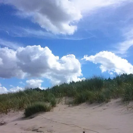 Ferien-im-sommergarten37c-auf-der-sonneninsel-usedom *