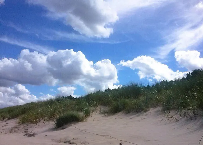 Ferien-im-sommergarten37c-auf-der-sonneninsel-usedom *